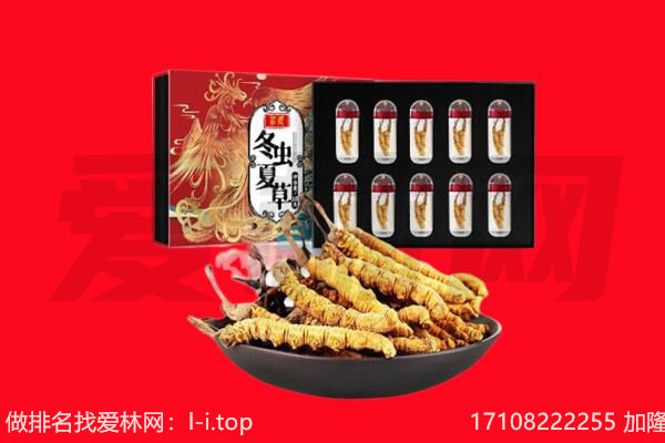金华市浦江回收虫草.jpg